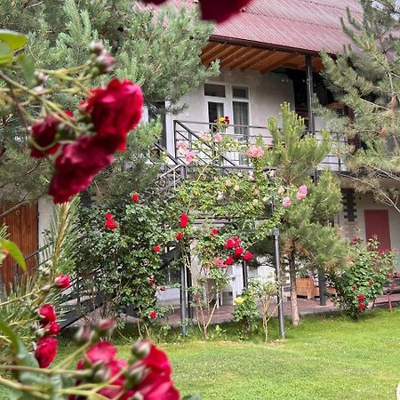 Podsolnukhi Guest House Cholpon-Ata Exterior photo