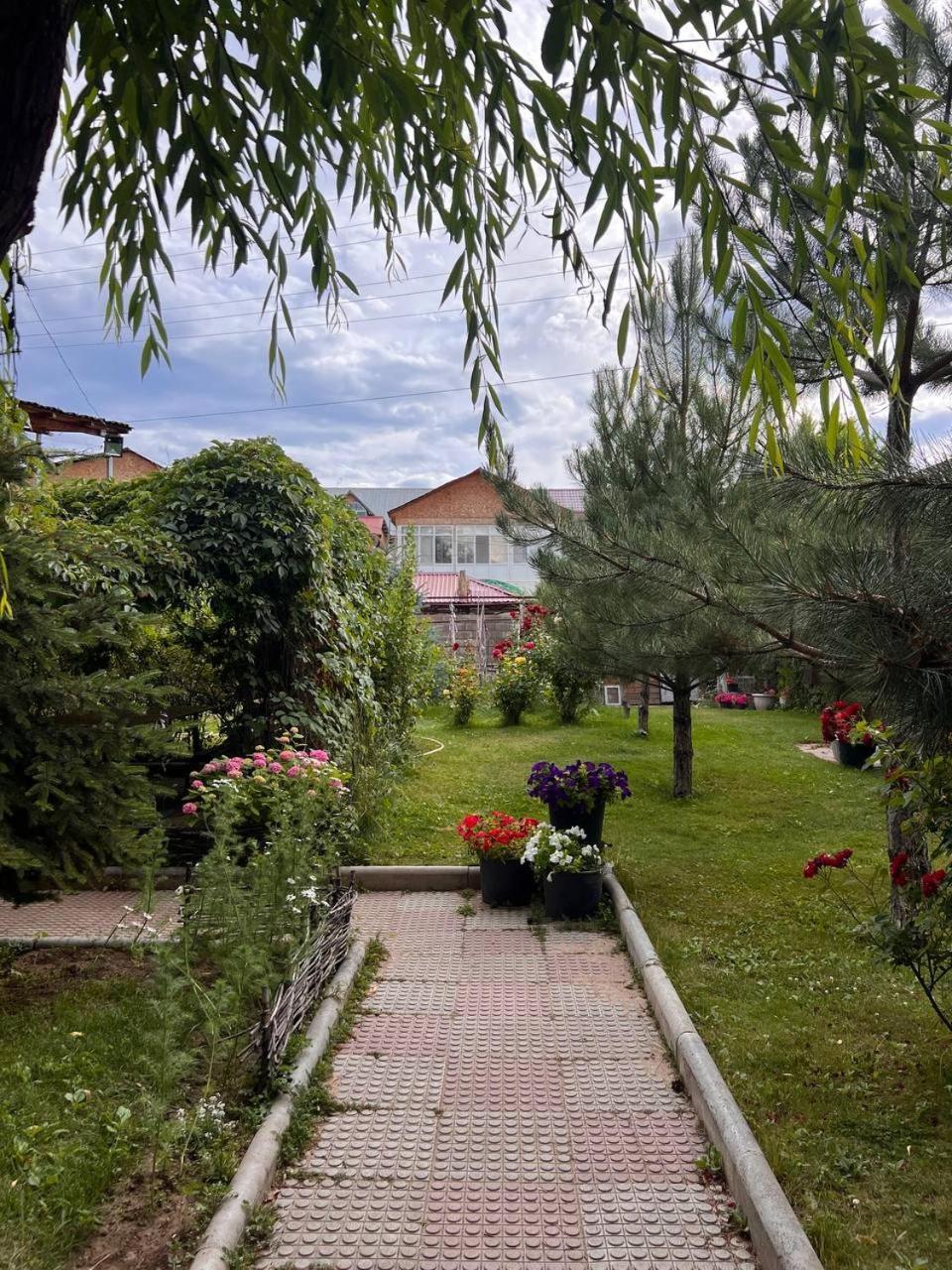 Podsolnukhi Guest House Cholpon-Ata Exterior photo