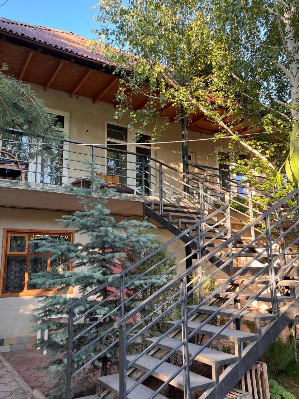 Podsolnukhi Guest House Cholpon-Ata Exterior photo